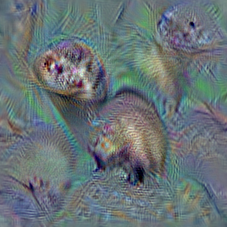 n02443114